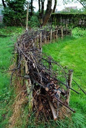 This is a habitat fence; its an accumulative, strategized & haphazard weave, a place for spring cleaning debris. The woodland edge boundary is dynamic, giving it a habitat fence line helps secure its future. This fence will rot like a tree stump enabling and creating extreme biodiversity and anchors. This year create habitat, even if its just a small woodpile behind a bush, it will become home to the micro menagerie that we are just beginning to notice. Natural Fence, Garden Types, Wildlife Gardening, Have Inspiration, Forest Garden, Wooden Fence, Garden Care, Garden Fencing, Garden Structures