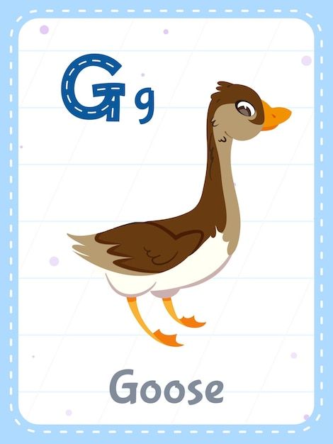 Corruption Poster, Cute Goose, Vector Alphabet, Vocabulary English, Children Education, S Alphabet, Alphabet Wall, Kids English, English Word