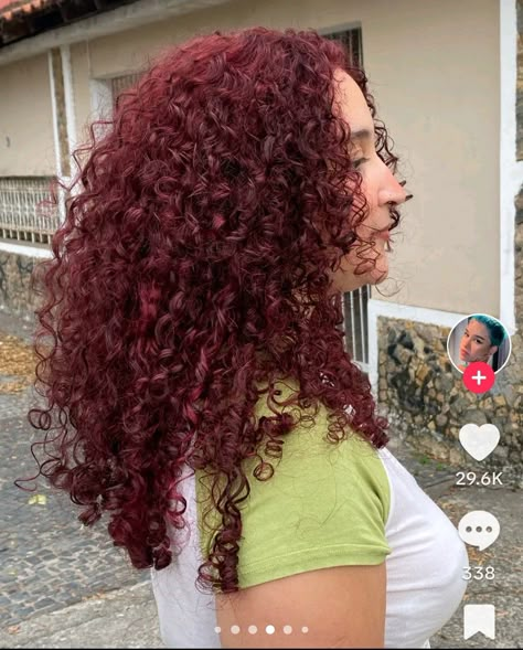 Curly Dyed Red Hair, Red Hair On Curly Hair, Maroon Curly Hair, Red Curly Hair Dyed, Dark Red Curly Hair, Highlights For Curly Hair, Curly Dyed Hair, Dark Red Highlights, Type 4c Hairstyles