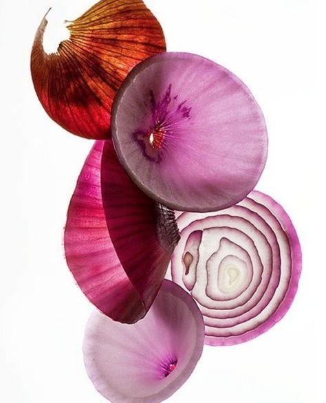 The most important fact about onions is that 75% of their nutrients are found in the top two layers, so USE them and don’t peel them off. Red onions are oh-so-slightly more nutrient-rich than white onions. Red onions are better used in dishes such as salads, while white onions are sweeter and milder. #8greens #greenbeauty #inseason #superfood Onion Photography Art, Onion Photo, Onion Photography, Onion Illustration, Onion Art, Super Greens Powder, Greens Powder, Super Greens, Gcse Art