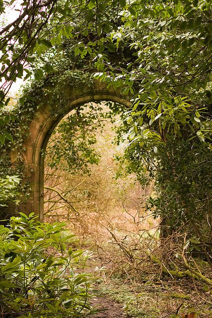 Secret Garden Book, Walled Gardens, Lost Garden, Gothic Garden, St Peters, Hidden Garden, Garden Arches, The Secret Garden, Garden Pathway