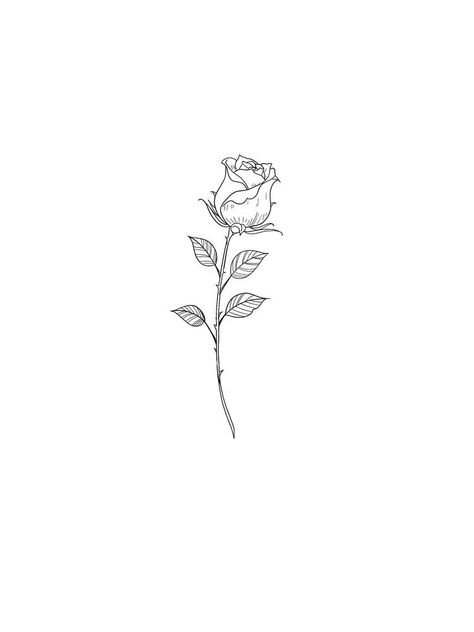 Rose Fine Line Drawing, Rose Fine Line Tattoo Design, Closed Rose Tattoo, Rose With Stem Tattoo, Aesthetic Tats, Rose Stem Tattoo, Simple Rose Tattoo, Roses Background, Brain Tattoo