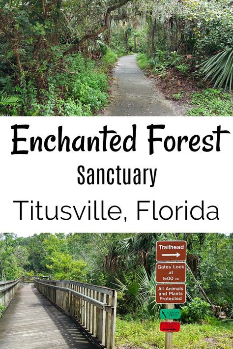 Titusville Enchanted Forest Sanctuary Park - Free Florida Space Coast Activity Things To Do In Titusville Fl, Titusville Florida Things To Do, Florida Hiking, Forest Sanctuary, Titusville Florida, Brevard County Florida, Miss Florida, Cocoa Beach Florida, Florida Adventures