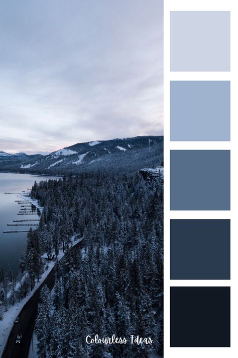 Map Colour Palette, Ski Lodge Color Palette, Cool Toned Color Palette, Silver Color Palette, Pantone Colours, Wolf Colors, Instagram Feed Layout, Business Colors, San Diego Houses