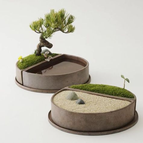 Minwax Stain Colors, Mini Zen Garden, نباتات منزلية, Minwax Stain, Cement Diy, Concrete Diy Projects, Moss Garden, Bonsai Art, Concrete Crafts