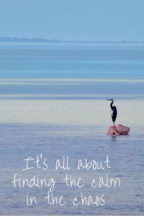 The multiple colors of blue in the ocean waters that day in the Big Bend of Florida were stunning and the Heron found his happy place. This beautiful serene scene is sure to bring a smile to your face and transport your thoughts to the beach! Motivational saying "It's all about finding the calm in the chaos". Happy Face Quote, Quote Beach, Water Quotes, Face Quotes, Zen Quotes, Beach Posters, Motivational Poster, Big Bend, Calm Water