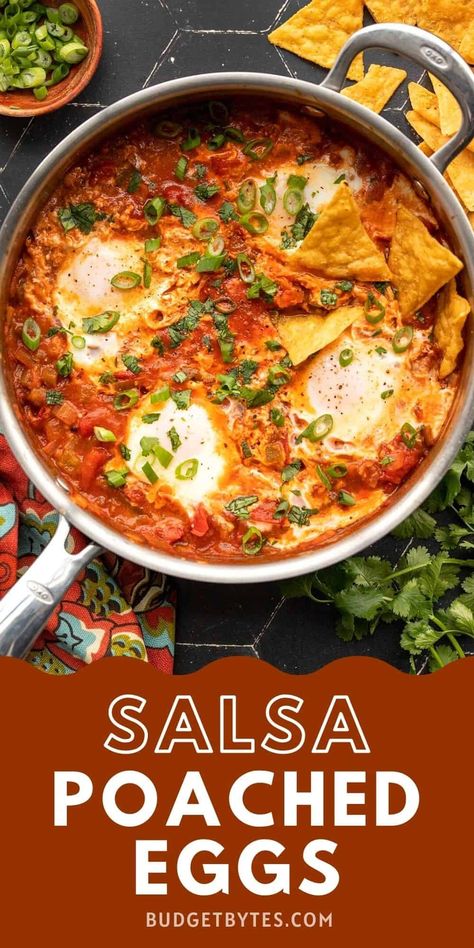 These salsa poached eggs are like a southwest spin on shakshuka. Eggs poached in a rich and flavorful tomato sauce with green chiles. BudgetBytes.com Egg Enchiladas, Shakshuka Eggs, Eggs Poached, Eggs Benedict Recipe, Mexican Breakfast Recipes, Budget Bytes, Green Chiles, Vegetarian Side Dishes, Meatless Dinner