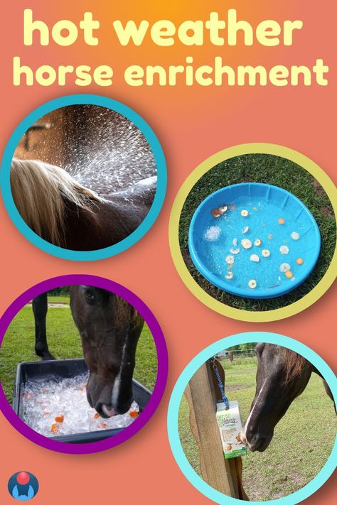 Four images in pastel colored circle frames on coral and orange background. Yellow text reads: Hot weather horse enrichment. Images beneath show horse  standing in water spray, equine ice block, ice pan treats, and frozen horse treat hanging from post. Horse Enrichment, Diy Horse Toys, Toys For Horses, Horse Training Ground Work, Horse Activities, Livestock Shelter, Horse Farm Ideas, Equine Care, Horse Care Tips