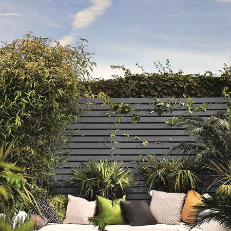 Garden fence paint colours Dark Grey Fence Paint, Paint Backyard Fence, Woodland Grey Fence, Garden Fence Paint Ideas, Painted Fences Ideas Backyards, Painted Garden Wall, Fence Colour Ideas, Painted Garden Fence, Paint Fence Ideas Backyards