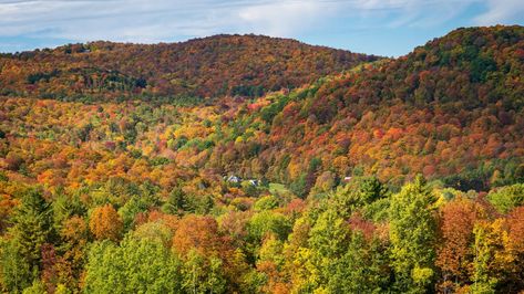 Every autumn, leaf-peepers from around the world descend on the town of Pomfret, Vermont (Credit: Backyard Productions/Alamy) Pomfret Vermont, Rural Community, Leaf Peeping, Pumpkin Farm, Autumn Leaf, Elm Street, Travel Videos, Tree Lighting, Fall Foliage