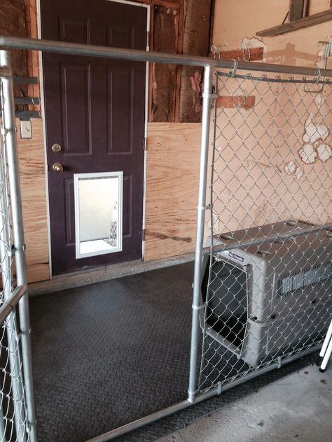 Kennel In Garage, Dog Kennel In Garage, Indoor Dog Kennel Ideas, Indoor Dog Area, Dog Kennel Ideas Indoor, Building A Dog Kennel, Metal Dog Kennel, Indoor Dog Kennel, Kennel Ideas