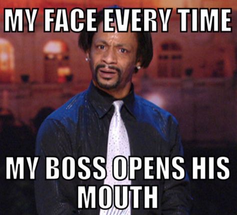 Even your boss knows to just leave you alone. | 21 Photos That Are Way Too Real For People Who Hate Working Workplace Memes, Hate Work, Boss Humor, Katt Williams, Job Humor, Anne Taintor, Workplace Humor, Bad Boss, Work Quotes Funny