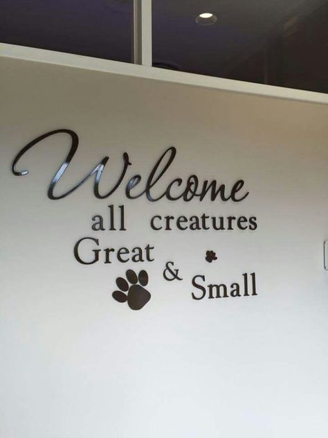 Veterinarian Clinic Interior, Veterinary Clinic Decor, Veterinary Office Decor, Veterinary Clinic Ideas, Veterinary Art, Vet Office Decor, Dog Grooming Salon Decor, Dog Daycare Business, Veterinary Office