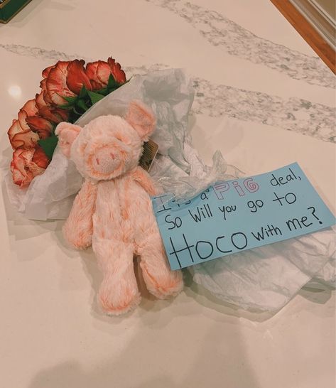 Hoco Proposals Ideas Jellycat, Bear Hoco Proposals, Teddy Bear Hoco Proposal, Stuffed Animal Hoco Proposal, Jellycat Hoco Proposal, Small Hoco Proposals, Animal Hoco Proposal, Animal Promposal, Puppy Promposal