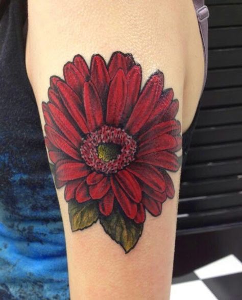 Red gerbera Gerber Daisy Tattoo, Gerbera Daisy Tattoo, Daisy Tattoo Meaning, Daisy Tattoo Designs, Daisy Flower Tattoos, Flower Bouquet Tattoo, Bouquet Tattoo, Gerber Daisy, Ribbon Tattoos