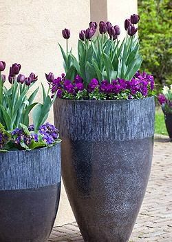 5th and state: Spring Planter Ideas Summer Planter, Spring Planter, Garden Deco, Have Inspiration, Garden Containers, Large Planters, Deco Floral, Planting Bulbs, Dark Beauty