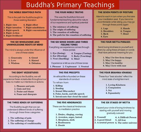 Buddhism For Beginners, Esoteric Occult, Buddhism Beliefs, Buddism Quotes, Buddhist Wisdom, Buddhist Philosophy, Buddhist Teachings, Primary Teaching, Buddha Teachings