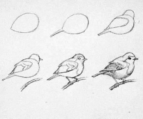 How To Draw A Pigeon Step By Step, Simple Bird Sketch, Draw Birds Easy Step By Step, How To Draw Whimsical, How To Paint Birds, How To Paint A Bird, Bird Reference Drawing, How To Draw Birds Easy, How To Draw A Bird Step By Step