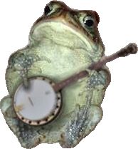 Frog Banjo, Banjo, You Never, Bacon, Musician, Right Now, Photoshop, Internet, Energy