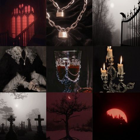 Vampire Mood Board, Vampire Moodboard, Gothic Moodboard, Paranormal Aesthetic, Vampire Pictures, Gothic Vampire, Blood Art, Rosé Aesthetic, Fantasy Collection