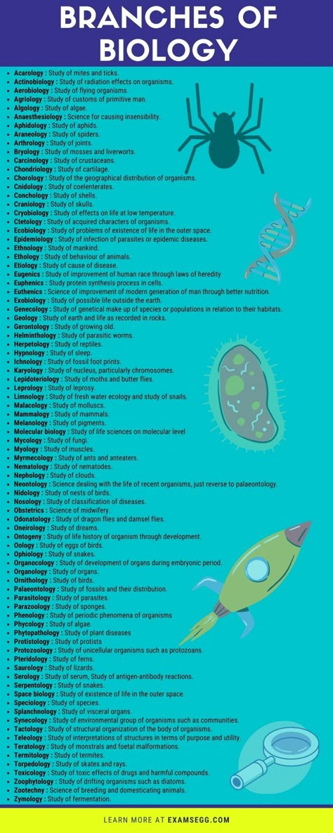 Different branches of Biology and their definition Branches Of Biology Notes, Biological Classification Notes, Branches Of Biology, Medical Terminology Study, Learn Biology, Chemistry Basics, Branches Of Science, Doctor Quotes, Trading For Beginners