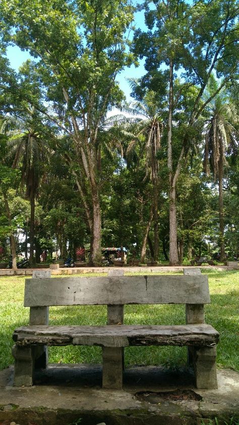 Tempat Duduk Aesthetic, Bangku Taman Aesthetic, Bengkulu Aesthetic, Taman Aesthetic, Backgrounds Reference, Desain Ux, Simple Poster Design, Nature Photography Trees, Wallpaper Hd Nature