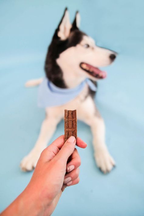 Chicken Jerky For Dogs, Jerky For Dogs, Chicken Jerky, Dog Treats Homemade Recipes, Dog Nutrition, Natural Dog Treats, Puppy Food, Cane Sugar, Vegetable Glycerin