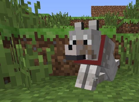 A screenshot from minecraft showing a dog sitting. It is a white dog with a red collar. It is made out of cubes. Minecraft Dog, Minecraft Wolf, Minecraft Dogs, Fandom Games, Minecraft Party, Dog Projects, Wolf Dog, The Gathering, Dog Art