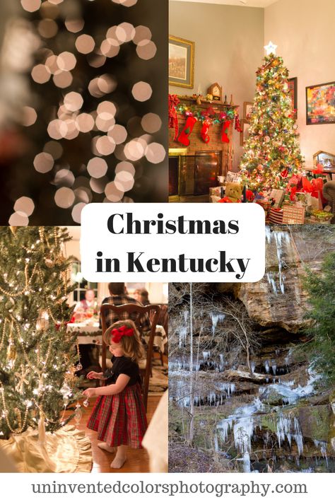 University Of Kentucky Christmas Tree, Christmas In Kentucky, Bardstown Kentucky Christmas, Kentucky Christmas Ornaments, Fall In Kentucky Photography, Kentucky Christmas, Lexington Kentucky, Lexington Ky, Advent Season