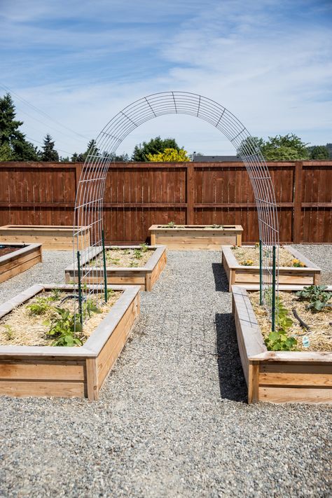 Raised Bed Garden Arch Trellis Garden Bed Layout, Garden Arch Trellis, Raised Bed Garden, Arch Trellis, Garden Arches, Veg Garden, Have Inspiration, Home Vegetable Garden, Vegetable Garden Design