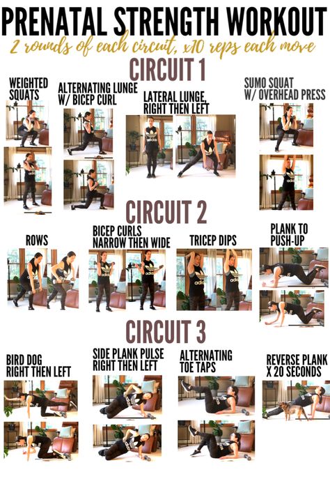 Prenatal Full Body Strength Workout Prenatal Strength Training, Prego Workout At Home, Pregnant Full Body Workout, Prenatal Workout At Home, Prenatal Back Workout, Prenatal Dumbell Workout, Third Trimester Full Body Workout, 1st Trimester Workout Plan, 2nd Trimester Workouts Gym