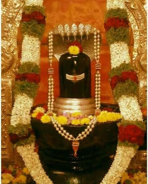 Instagram post by @chaganti_koteswararao_garu • Jan 24, 2022 at 1:56am UTC Shiva Lingam Images, Shiva Lingam Images Hd, Karpaga Vinayagar, Siva Lingam, Mahakal Shiva, Lord Mahadev, Lord Murugan Wallpapers, Lord Siva, Shiva Lingam