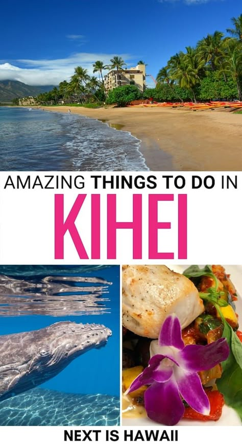 12 Best Things to Do in Kihei, Maui (+ Nearby Attractions!) Maui Kihei, Molokini Crater, Haleakala Sunrise, Maui Travel Guide, Maui Snorkeling, Maui Restaurants, Hawaii Trip Planning, Maui Food, Kihei Maui