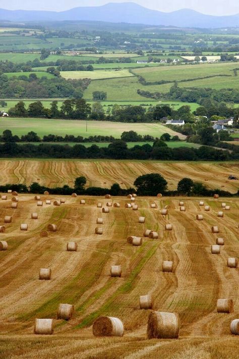 Bales Of Hay, Farm Scenery, Out In The Country, Irish Countryside, Farm Field, Life On The Farm, Farm Living, Hay Bales, Field Of Dreams