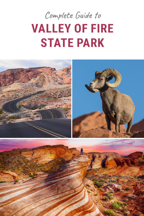 Complete guide to Valley of Fire State Park Desert Photos, Advanced Photography, Valley Of Fire State Park, Elephant Rock, Usa Bucket List, Bighorn Sheep, Nevada Travel, Photography Tricks, Visit Usa