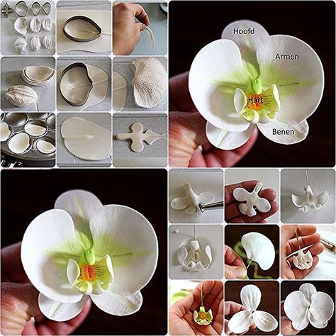 Sugar Paste Flowers, Sugar Flowers Tutorial, Fondant Flower Tutorial, Polymer Flowers, Icing Flowers, Cold Porcelain Flowers, Gum Paste Flowers, Fondant Decorations, Fondant Flowers