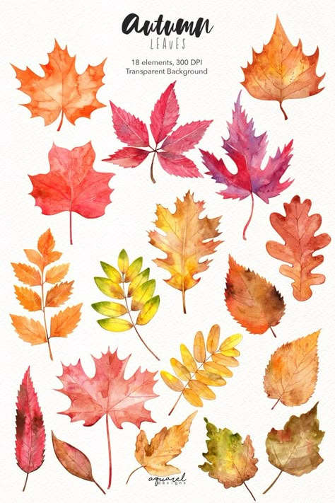 Watercolor Autumn Leaves, Leaves Clipart, Autumn Leaves Art, Desain Quilling, Leaf Clipart, Leaves Autumn, Leaf Drawing, Fall Watercolor, Fall Leaf