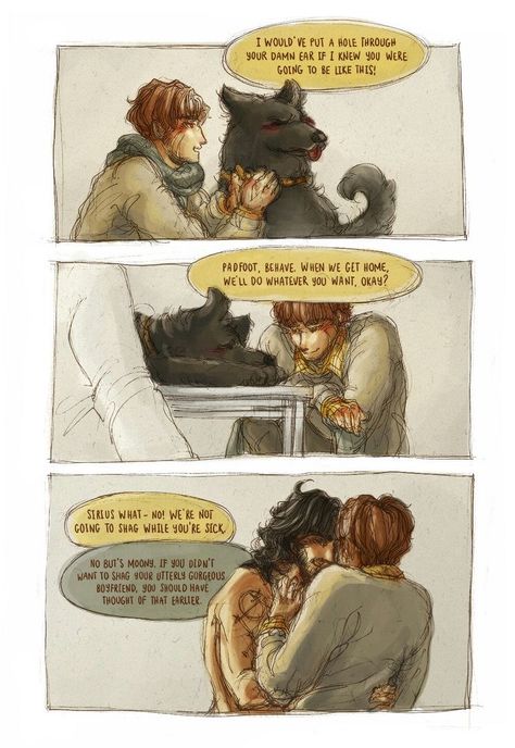 Wolfstar Fanart, Remus And Sirius, Gellert Grindelwald, Severus Rogue, Gay Harry Potter, Harry Potter Comics, Harry Potter Ships, Harry Potter Headcannons, Harry Potter Fanfiction