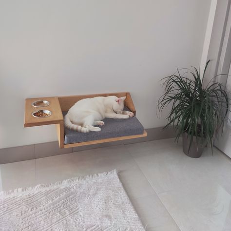 Wall Cat Bed, Food Rack, Food Shelf, Wooden Wall Shelf, Shelf Hardware, Neck Problems, Modern Cat Tree, Shelf Floating, Wooden Wall Shelves