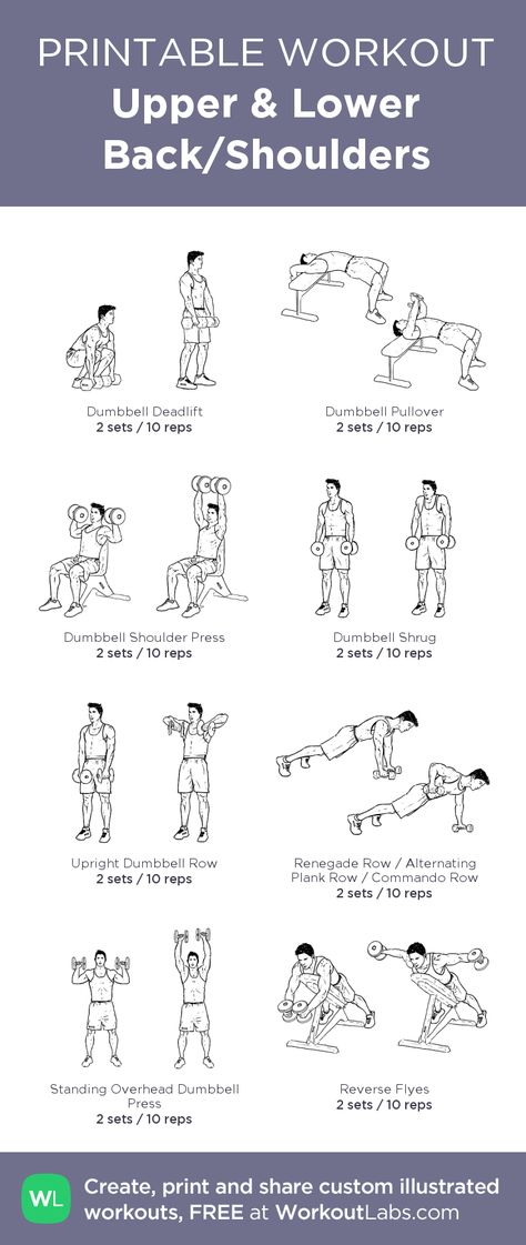 Upper & Lower Back/Shoulders: my custom printable workout by @WorkoutLabs #workoutlabs #customworkout Back And Shoulder Workout, Workout Labs, Printable Workout, Back Workouts, Printable Workouts, Workout Stuff, Workout Chart, Mental Training, Chest Workouts