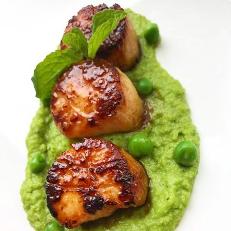 Fish Recipes Swai, Peas Puree, Scallops Recipes, Pea Puree, Grilled Scallops, Seared Scallops, Sea Scallops, Scallop Recipes, Pea Recipes