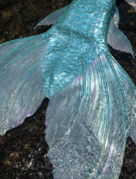 Dark Pink Mermaid Aesthetic, Light Blue Mermaid Tail, Blue Mermaid Tail Aesthetic, Mermaid Tails Aesthetic, Mermaid Aesthetic Blue, Blue Mermaid Aesthetic, Mermaid Tail Aesthetic, Mermaid Tail Blue, H2o Mermaid Tails