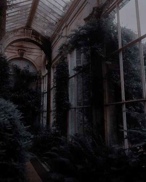 Gothic Academia Aesthetic, Dark Princess Aesthetic, Ilvermorny Houses, Gothic Academia, Darkest Academia, Dark Naturalism, Potter Aesthetic, Dark Fairytale, Royalty Aesthetic