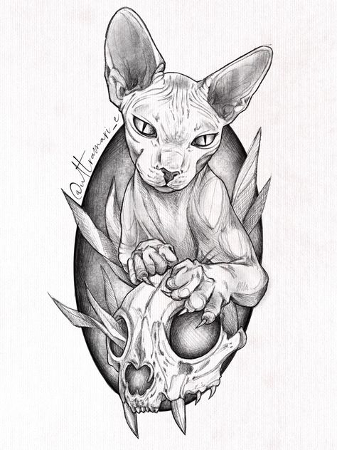 Sphinx. Sketch. Scull. Sphinx Cat Drawing, Cat Tattoo Drawing, Hairless Cat Tattoo, Sphinx Cat Tattoo, Sphynx Tattoo, Sphynx Cat Tattoo, Sphinx Tattoo, Harry Tattoos, Chat Sphynx