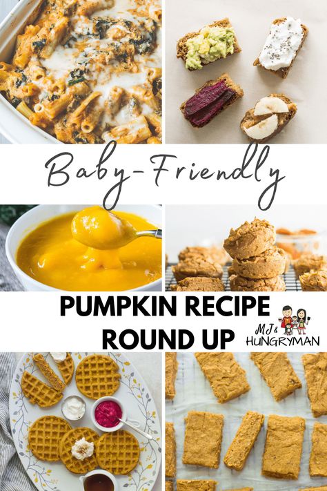 Pumpkin Recipes For Babies, Easy Healthy Pumpkin Recipes, Pumpkin Recipes For Toddlers, Leftover Pumpkin Puree, Pumpkin Baby Food, Healthy Pumpkin Recipes, Recipes For Babies, Canned Pumpkin Recipes, Puree Recipes