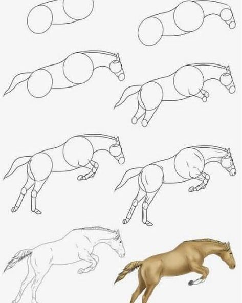 Drawing Ideas ✏️ | Jumping horse tutorial Horse Tutorial, Horse Doodle, Horse Drawing Tutorial, Ride Drawing, Horse Art Drawing, Jumping Horse, Horse Sketch, Horse Anatomy, Color Drawing Art