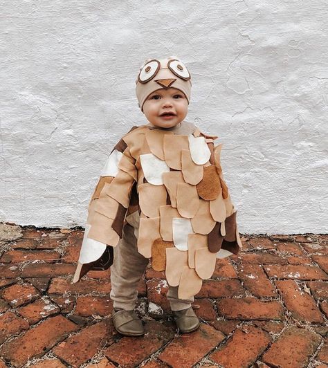 Little Owl @ourlittletogether Diy Owl Costume, Owl Costume Kids, Owl Costume Diy, Kids Costume Ideas, Owl Halloween Costumes, Halloween Diy Kids, Diy Owl, Owl Costume, Solly Baby