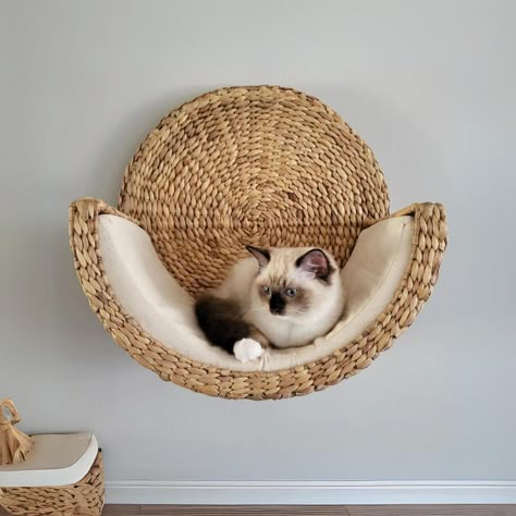 Handmade Wicker Cat Wall Shelf Eco-friendly Cat Shelves Stylish, Durable, Easy to Install Rustic Cat Wall Furniture - Etsy Katt Grejer, Chat Diy, Cat Wall Shelves, Cat Wall Furniture, Cat House Diy, Cat Basket, Cat Shelves, Cat Things, Cat Ideas