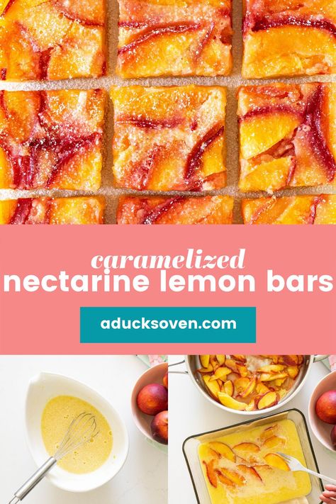 This nectarine lemon bars recipe is the perfect way to use everyone’s favorite late summer fruit! If you’re looking for an incredible nectarine dessert recipe, this is the one. Yellow Nectarine Recipe, Things To Make With Nectarines, Things To Do With Nectarines, Dessert With Nectarines, What To Make With Nectarines, What To Do With Nectarines, Nectarine Dessert Recipes, Nectarine Recipes Gluten Free, Recipes With Nectarines