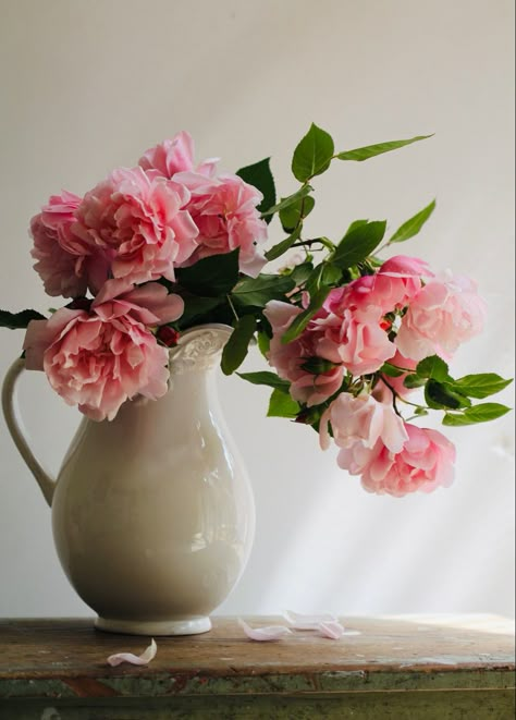 Pink Flowers In Vase Aesthetic, Flower Vase Reference Photo, Vase Of Flowers Photography, Flower Vase Reference, Flowers Still Life Photography, Rose Flowers Drawing, Flower Pots Diy, Flower Pot Drawing, Rose Still Life